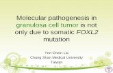 Molecular pathogenesis in granulosa cell tumor is not only ...