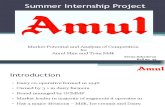 Summer internship report - AMUL (Marketing)