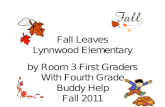 Fall  Leaves Lynnwood Elementary