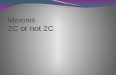 Meiosis 2C or not 2C