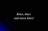 Kites, kites  and more kites!
