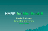 HARP for  MiniBooNE