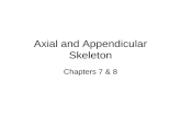 Axial and Appendicular Skeleton
