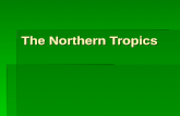 The Northern Tropics. The Guianas  Countries  Guyana, Suriname, French Guyana  Culture reflects colonial history  Official Languages  Guyana – English.