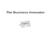 The Business Innovator