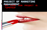 MARKETING MANAGEMENT Project on lipstick