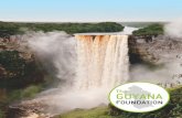 Guyana Foundation