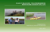 SALT BAYOU WATERSHED RESTORATION BAYOU WATERSHED RESTORATION PLAN Prepared by: Salt Bayou Marsh Workgroup