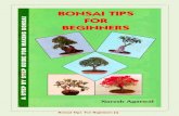 BONSAI TIPS - Anmol .Bonsai Tips For Beginners |5| INTRODUCTION Bonsai is not merely an ordinary