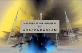 Instagram for Business in Indonesia