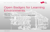 Open Badges for Learning Environments