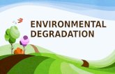 environmental degradation