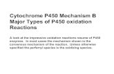 Cytochrome P450 Mechanism B Major Types of .Major Types of P450 oxidation Reactions ... When the