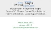 1.16 Boltzmann Maps From Grand Canonical Monte Carlo Simulations - Overview