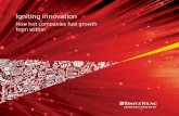 Igniting innovation - How hot companies fuel growth from ... _How...Igniting innovation How hot companies fuel ... that fostered creativity by allowing them to ... enabler for innovation