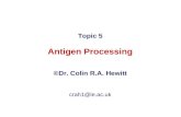 Antigen Processing PPT