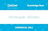 OnCrawl guide- SEO basics: Canonical URLs