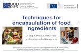 Techniques for encapsulation of food -   for...Techniques for encapsulation of food ... o Spices, herbs o Essential oils ... Size of encapsulated food ingredients