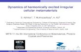 Dynamics of harmonically excited irregular cellular ... adhikaris/fulltext/presentation/tal17_1.pdfDynamics of harmonically excited irregular cellular metamaterials ... T. Mukhopadhyay2,