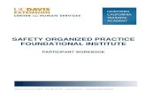 SAFETY ORGANIZED PRACTICE FOUNDATIONAL INSTITUTE ORGANIZED PRACTICE FOUNDATIONAL INSTITUTE PARTICIPANT WORKBOOK . Safety Organized Practice Foundational Institute . ... Participant