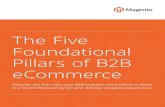 The Five Foundational Pillars of B2B eCommerce - Five Foundational Pillars of B2B eCommerce Page 1 Introduction For most of its 60 years in business, animal health care company Zoetis
