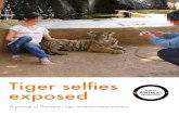 Tiger selfies exposed - World Animal Protection .Tiger selfies exposed ... Wildlife tourism, worth