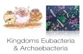 Kingdoms Eubacteria & Archaebacteria .Reproduction & Growth Eubacteria and Archaebacteria reproduce