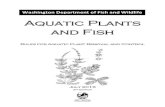 Aquatic Plants and Fish - .Aquatic Plants and Fish Rules for Aquatic Plant Removal and Control .