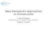 New therapeutic approaches to rhinosinusitis - therapeutic approaches to rhinosinusitis last.pdf ·