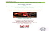 Rashmi Metaliks Limited - .Rashmi Metaliks Limited Proposed Feasibility Report for RML_ DIP Division