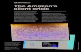 The Amazon’s silent crisis - .The Amazon’s Silent Crisis The Amazon’s ... in Belgium and the