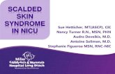 SCALDED SKIN SYNDROME - APIC Coastline .Background •Staphylococcal scalded skin syndrome (SSSS)
