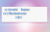 Systemic lupus erythymatosus