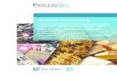 Mineral Processing - DECHEMA | Gesellschaft f¼r .Mineral Processing Mineral, renewable and secondary