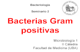 BACTERIAS GRAM POSITIVO - fmed.uba.ar .TINCION de GRAM • Gram + : Púrpura - Violeta • Gram -