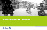 Cimigo 2015 vietnam consumer landscape