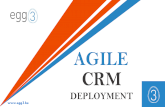 Egg3 | Agile CRM Deployment