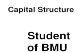 Capital structure by NEERAJ SINDHU