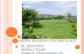 Green roof presentation