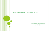 International Transports