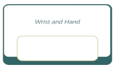 Wrist and Hand. Wrist Wrist is a joint complex consisting of radio- carpal joint and many relationships between the carpal bones Review of carpals Proximal.