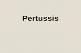 Pertussis. Highly contagious respiratory infection Classic pertussis, the whooping cough syndrome, usually is caused by B. Pertussis a gram-negative pleomorphic.