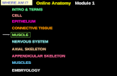 WHERE AM I? Online Anatomy Module 1 APPENDICULAR SKELETON CELL INTRO & TERMS EPITHELIUM CONNECTIVE TISSUE MUSCLE NERVOUS SYSTEM AXIAL SKELETON MUSCLES