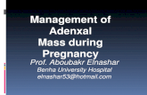 Management of Adenxal Mass during Pregnancy Prof. Aboubakr Elnashar Benha University Hospital elnashar53@hotmail.com.