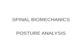 SPINAL BIOMECHANICS POSTURE ANALYSIS. POSTURE Keep in mind the spine is found at the posterior aspect of the body, behind the center of gravity Center.