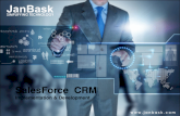 Janbask | Salesforce CRM Implementation & Development
