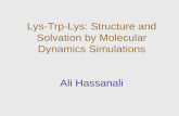 Lys-Trp-Lys: Structure and Solvation by Molecular Dynamics Simulations Ali Hassanali.