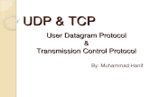 UDP & TCP By: Muhammad Hanif User Datagram Protocol & Transmission Control Protocol