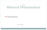 Mineral Presentation Chalcopyrite 11A Ivory Tang