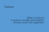 Torture What is torture? Is torture morally permissible? Should torture be legalised?